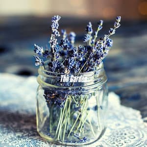 The Garden - Musique Jazz Relaxante