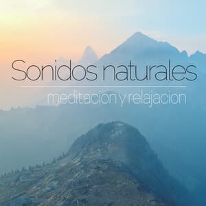 Sonidos naturales – Musica instrumantal relajante de fondo, las olas del mar, las aves & sonidos de agua, meditacion y relajacion - Tiempo de relajación natural
