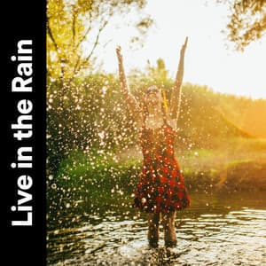 Live in the Rain - Rain Sounds & Nature Sounds