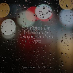 50 Pistas De Música De Relajación Para Spa - Relajacion Del Mar