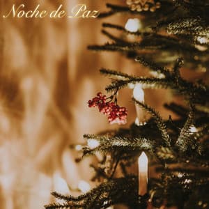 Noche de Paz - Canciones De Navidad