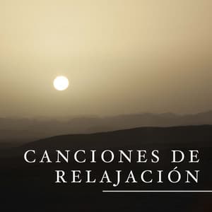 Canciones de Relajacion - Musica Muy Relajante - Meditación Maestro