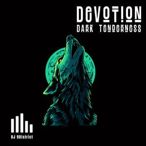 Devotion: Dark Tenderness - DJ 9District