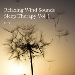 Fire: Relaxing Wind Sounds Sleep Therapy Vol. 1 - Fireplace Sounds