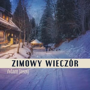 Zimowy Wieczór - Adam Jasny