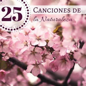 25 Canciones de la Naturaleza - Sonidos de la Naturaleza y Ruido Blanco - Flor de Loto