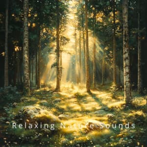 Night in the Woods: Nature for Relaxation - Relaxing Nature Sounds