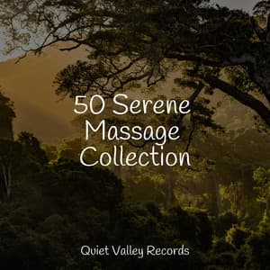 50 Serene Massage Collection - Study Music