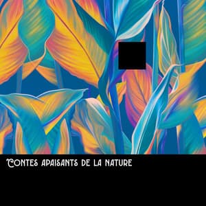 Contes apaisants de la nature: Musique pour méditer à la maison - Nature Académie