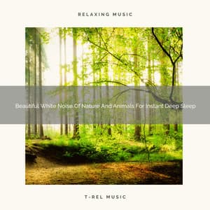 Beautiful White Noise Of Nature And Animals For Instant Deep Sleep - The Noise Project