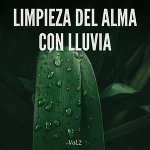 Limpieza del alma con lluvia Vol.2 - Sonidos de la Naturaleza JBE