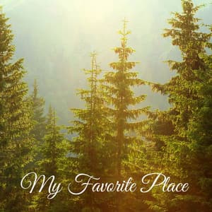 My Favorite Place - Rain Sound Plus