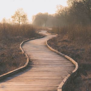 Binaural Odyssey: Sonic Pathways to Inner Balance - Binaural Explorer