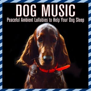 Dog Music: Peaceful Ambient Lullabies to Help Your Dog Sleep - Dog Music