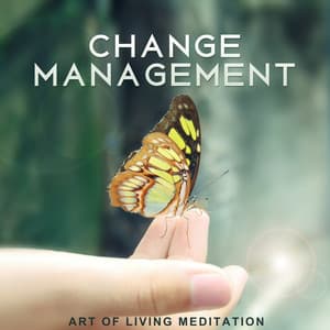 Change Management - Stress Relieving Music Consort