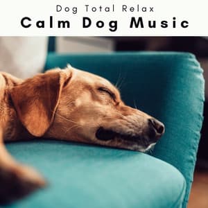 1 Calm Dog Music - Dog Total Relax
