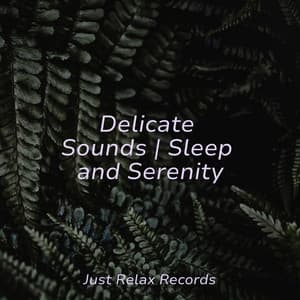 Delicate Sounds | Sleep and Serenity - Meditation Awareness