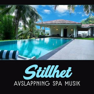 Stillhet – Avslappning spa musik, Ljud av naturen för massage, Regenerering för sinne och kropp - Lugn Spa Akademi