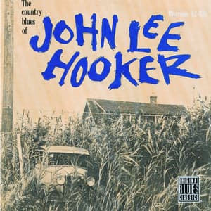 The Country Blues Of John Lee Hooker - John Lee Hooker