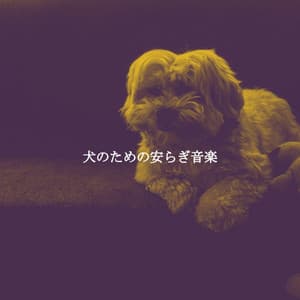 犬のための安らぎ音楽 - Smooth Jazz Chill Out Playlist