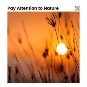 Pay Attention to Nature - Zen Garden Secrets