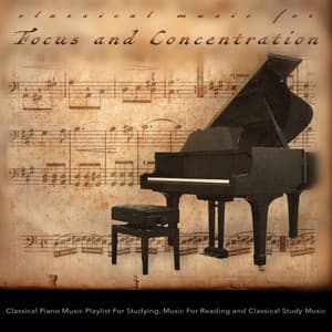 Classical Music For Focus and Concentration: Classical Piano Music Playlist For Studying, Music For Reading and Classical Study Music - Work Music