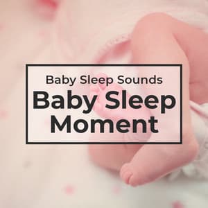 Baby Sleep Moment - Baby Sleep Sounds