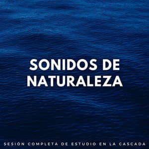 Sonidos De Naturaleza: Sesión Completa De Estudio En La Cascada - Camino del agua