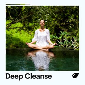 Deep Cleanse - Mind of Peace