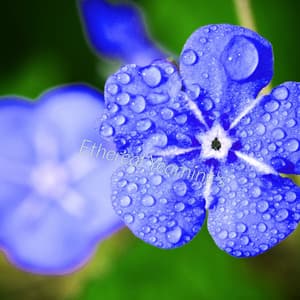 Ethereal Yearning's - Celestial Cascade