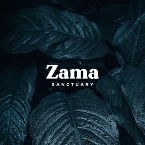 Relaxing Forest Rain - Zama Sanctuary