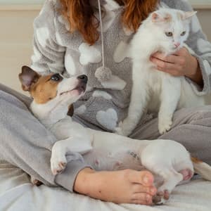 Pet of Serenity: Ambient Music for Peaceful Bonding - Natural Healing Music Zone