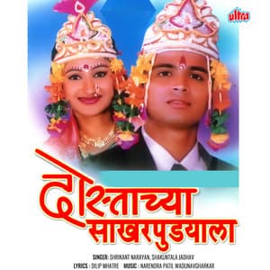 Dostachya Sakharpudyala - Shrikant Narayan