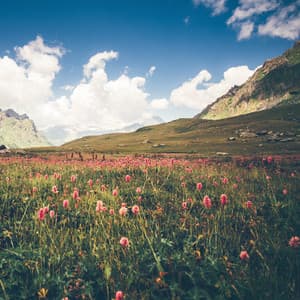 Ambient Nature Sounds - Yoga Flow