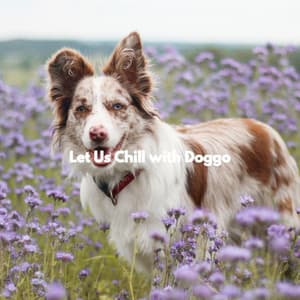 Let Us Chill with Doggo - Music for Pets Playlist