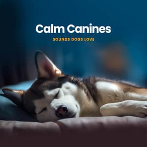Calm Canines - Sounds Dogs Love