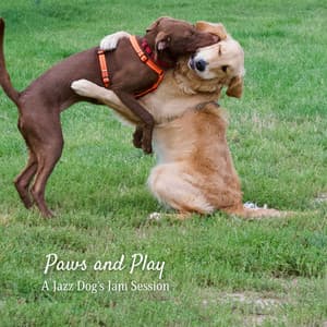 Paws and Play: A Jazz Dog's Jam Session - Smooth Jazz Beats
