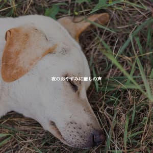 夜のおやすみに癒しの声 - Bossa Cafe Deluxe