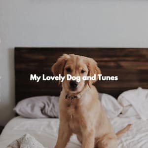 My Lovely Dog and Tunes - Bossa Nova Project