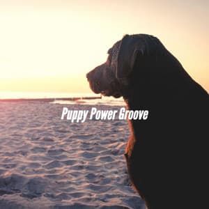 Puppy Power Groove - Dog Separation Anxiety Music