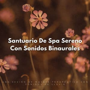 Santuario Sensorial Binaural: Una Sesión De Masaje Terapéutico Con Sonidos De Lluvia - Sonidos relajantes de lluvia