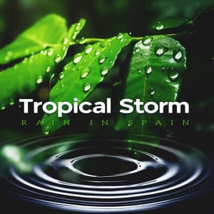 Tropical Storm - Rain In Spain