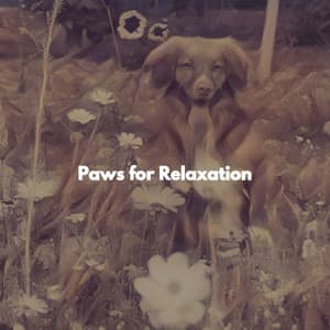 Paws for Relaxation - Sunday Morning Music