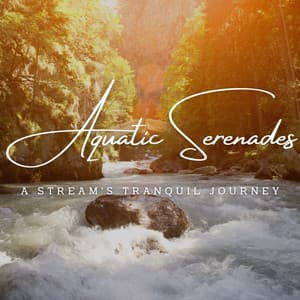 Aquatic Serenades: A Stream's Tranquil Journey - Streaming Waves