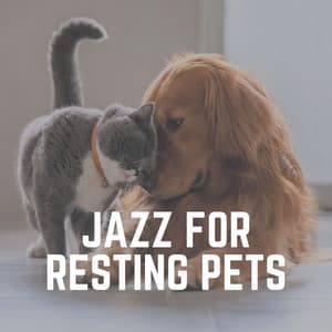 Jazz for Resting Pets - Jazz Music Therapy for Cats