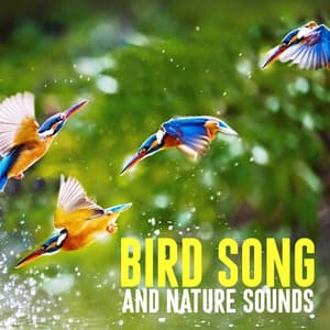 Bird Song and Nature Sounds - Nature Sounds Lab