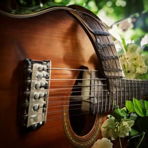 Chords of Comfort: Soothing Guitar Music - Guitar Spirits