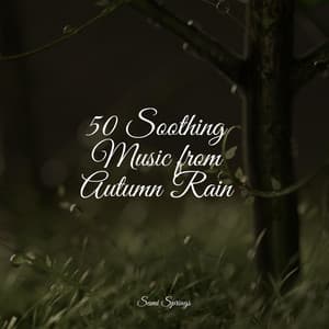 50 Soothing Music from Autumn Rain - Ambient Nature White Noise