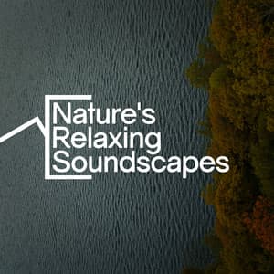 Nature's Relaxing Soundscapes - Nature Sounds Relaxing