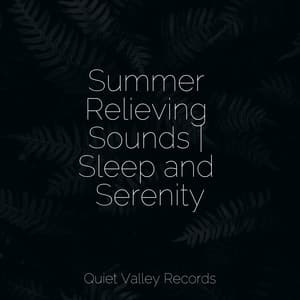 Summer Relieving Sounds | Sleep and Serenity - 125 Nature Sounds